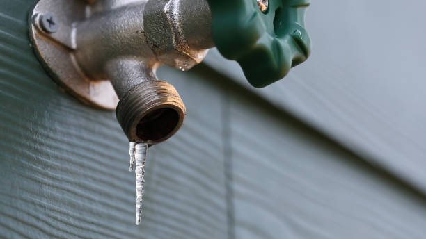 Best Residential Plumbing Services  in Newberry, SC